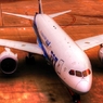 ANA787便