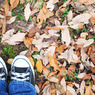 fall_converse