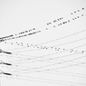 birds-wire