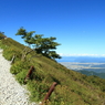 初秋の伊吹山－登山道