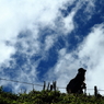 初秋の伊吹山－登山客（女性）