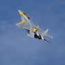 2014小松基地航空祭11