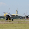 2014小松基地航空祭15