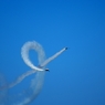 Blue Impulse３