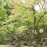 東大寺①　奈良公園