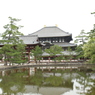 東大寺⑥