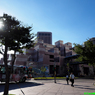 台北の街並み