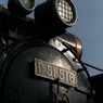 D51