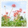 花切手＜2011-56＞＊彼岸花