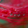 Drop of water