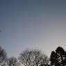 公園から眺める夜空