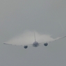 着陸（177）FedEx 777-FS2 Vapour