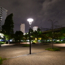 清水緑地（夜）　テスト7