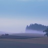 美瑛淡景３