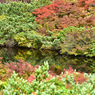 36-DSC_7110