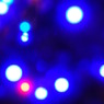 X'mas tree 