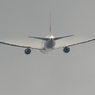 離陸（241）JAL 767-300ER ﾍﾞｲﾊﾟｰ