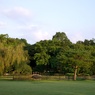 DSC06745