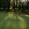 DSC06776