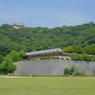 堀の内より松山城　城山を望む