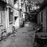 PA010481-编辑