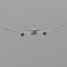 離陸（246）JAL 787-8 Vapour?