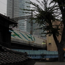 IMGS0101