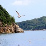 女木島港