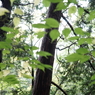 DSC02438