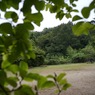 DSC02510