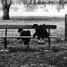 FRANCE1985
