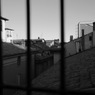 MONOCHROME  ITALIA
