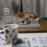 台風の朝