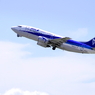 ANA B737