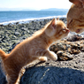 パパとチュー♡