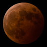 Brad moon