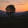 今朝の風景Ⅶ