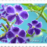 ＜花切手2014-41＞＊ジュランタ