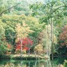 紅葉の池