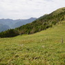 塔の丸DSC08050