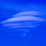 傘雲と月