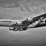 QF A380