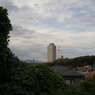 ご近所散歩