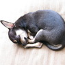 眠り