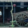 PHA_6771