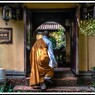 PHA_6786