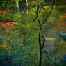 薬研渓流の秋 V