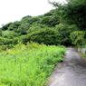 男木島灯台への道