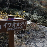 ニセコ連峰⑪　イワオヌプリ