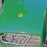 Frog (7)